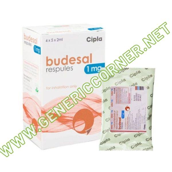 Budesal Respules 1mg